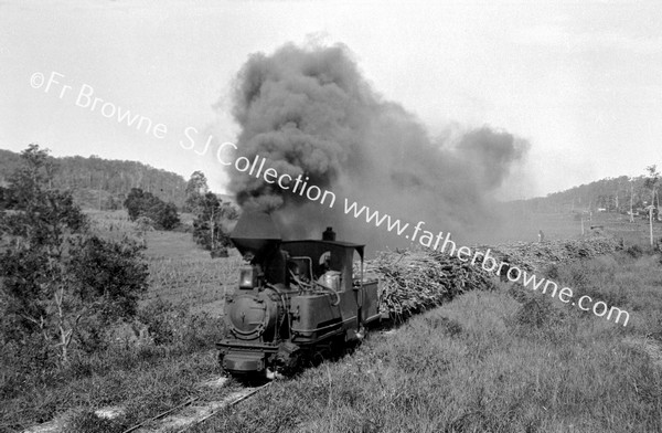 TRAINS ON WAY TO SUGAR FIELDS  FULL STEAM AHEAD